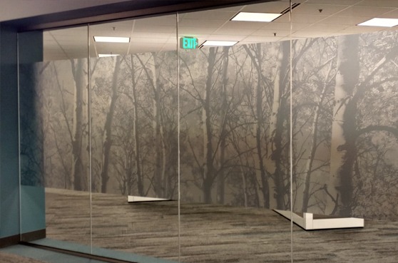 A room with glass walls and trees on the wall.